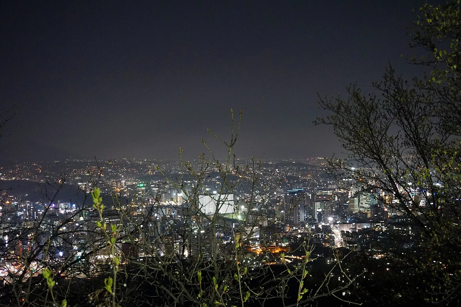 남산에서 내려다본 서울의 밤 풍경